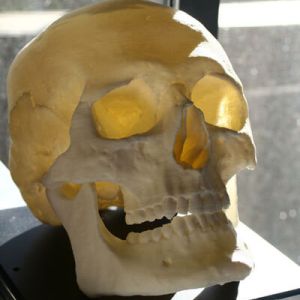 skull2_grande